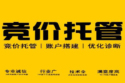 成功案例分享：托管竞价SEM优化策略